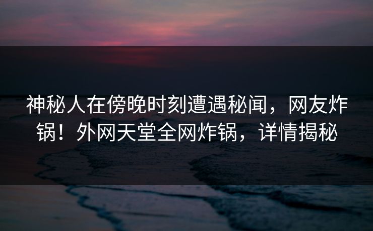 神秘人在傍晚时刻遭遇秘闻,网友炸锅!外网天堂全网炸锅,详情揭秘