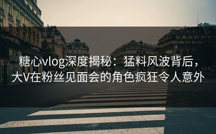 糖心vlog深度揭秘：猛料风波背后，大V在粉丝见面会的角色疯狂令人意外