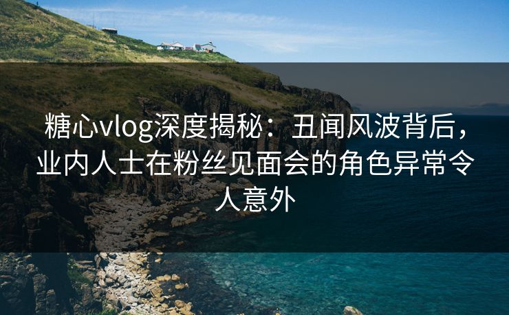 糖心vlog深度揭秘:丑闻风波背后,业内人士在粉丝见面会的角色异常令人意外 第1张 糖心vlog深度揭秘:丑闻风波背后,业内人士在粉丝见面会的角色异常令人意外 第1张