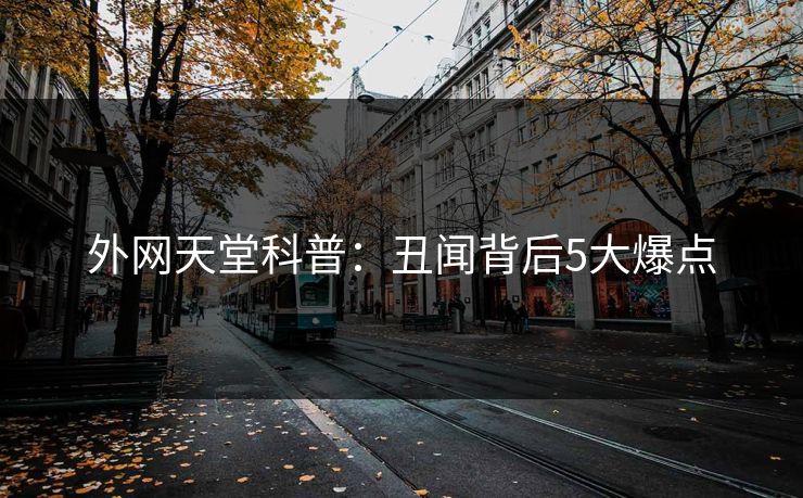 外网天堂科普：丑闻背后5大爆点