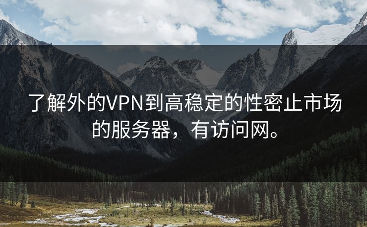 了解外的VPN到高稳定的性密止市场的服务器，有访问网。  第1张